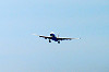 haneda_0487_mini.jpg