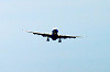 haneda_0488_mini.jpg