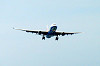 haneda_0489_mini.jpg