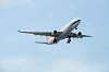 haneda_0496_mini.jpg