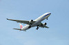 haneda_0499_mini.jpg