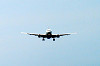 haneda_0514_mini.jpg