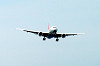 haneda_0515_mini.jpg