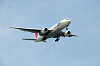 haneda_0522_mini.jpg