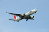 haneda_0524_mini.jpg