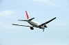 haneda_0533_mini.jpg