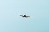 haneda_0539_mini.jpg