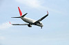 haneda_0560_mini.jpg