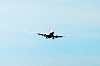 haneda_0566_mini.jpg