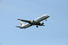 haneda_0593_mini.jpg