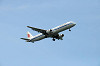 haneda_0594_mini.jpg