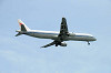 haneda_0599_mini.jpg