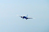 haneda_0608_mini.jpg