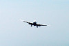 haneda_0609_mini.jpg