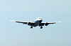 haneda_0611_mini.jpg