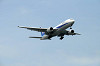 haneda_0619_mini.jpg