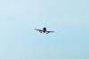 haneda_0636_mini.jpg