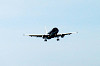 haneda_0638_mini.jpg