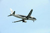 haneda_0659_mini.jpg