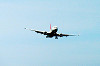 haneda_0670_mini.jpg