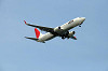 haneda_0680_mini.jpg