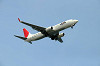 haneda_0681_mini.jpg