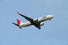 haneda_0682_mini.jpg