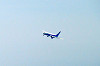 haneda_0696_mini.jpg