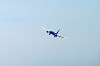 haneda_0697_mini.jpg