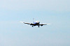 haneda_0699_mini.jpg