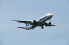 haneda_0705_mini.jpg