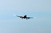 haneda_0720_mini.jpg