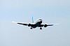 haneda_0721_mini.jpg