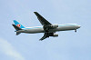 haneda_0736_mini.jpg