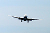 haneda_0748_mini.jpg