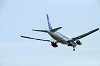 haneda_0761_mini.jpg