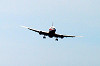 haneda_0766_mini.jpg