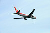 haneda_0787_mini.jpg