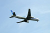 haneda_0830_mini.jpg