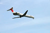 haneda_0858_mini.jpg