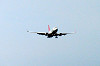 haneda_0895_mini.jpg