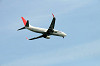 haneda_0909_mini.jpg