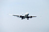 haneda_0917_mini.jpg