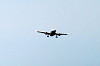 haneda_0946_mini.jpg