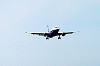 haneda_0947_mini.jpg