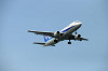 haneda_0954_mini.jpg