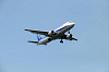 haneda_0955_mini.jpg