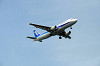 haneda_0956_mini.jpg