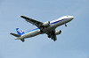 haneda_0958_mini.jpg