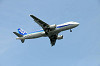 haneda_0959_mini.jpg